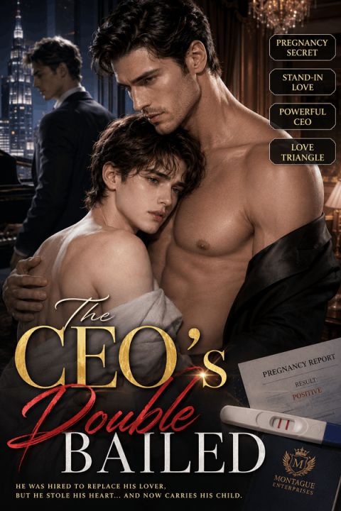 The CEO's Double Bailed